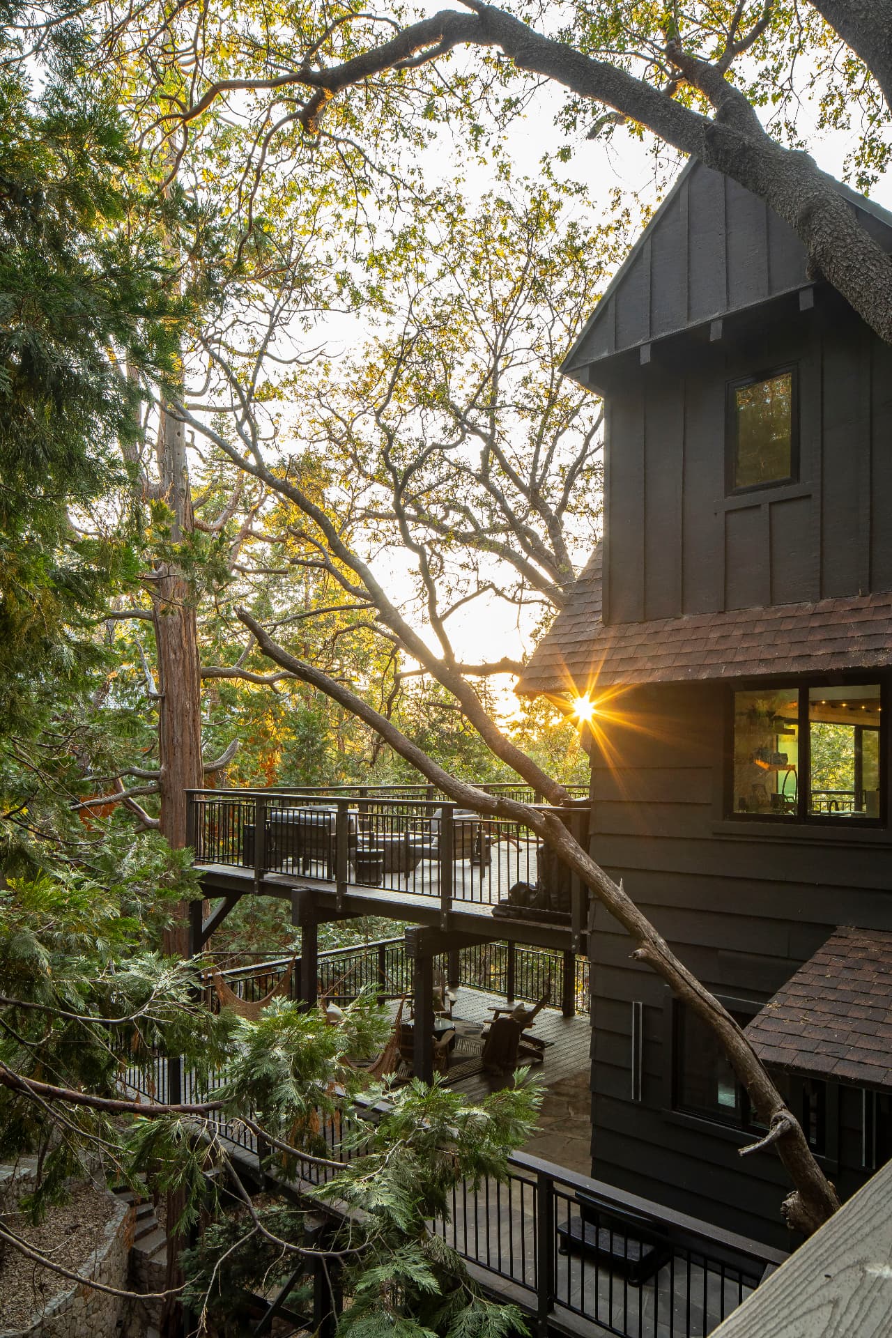 Sun breaking through the oaks beside the home's upper decks